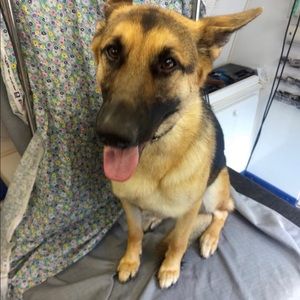 Label for a friend :)